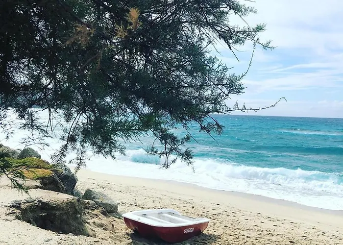 Nove - Dei Fiori Zambrone