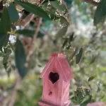 Nove - Dei Fiori