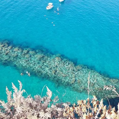 فيلة Nove - Dei Fiori